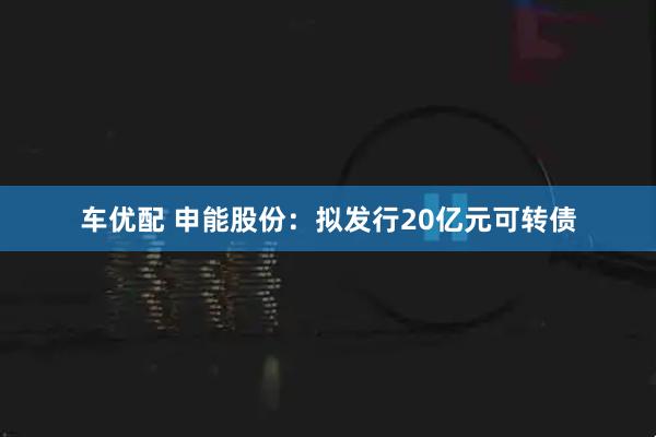 车优配 申能股份：拟发行20亿元可转债